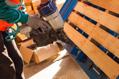 Mobilya üretiminde çalışan profesyonel bir fabrika işçisi. Pnömatik çekiç kullanıyor. Ahşap fabrikası makineleri ve profesyonel ekipmanlar.