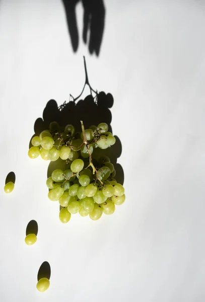Bunch Grapes Hand Shadow — Stock Photo, Image