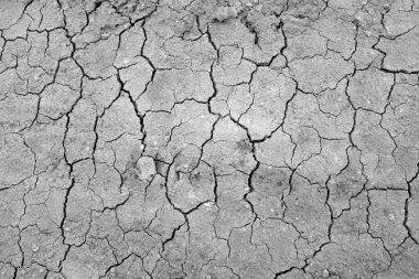 Yaz mevsiminde kuru kum zemini