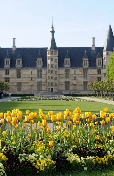 Tulips Place Republique Palais Ducal Nevers Burgundy France — Stock Photo, Image