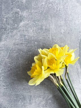 Sarı nergis buketi, boş alan.