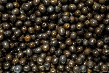 Suda harika siyah zeytinler