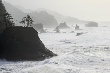 Oregon sahili boyunca deniz yığınları