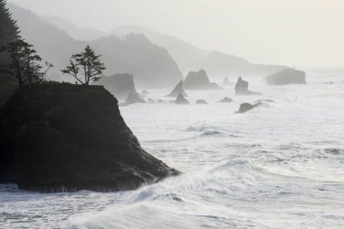 Sea Stacks Along The Oregon Coast clipart