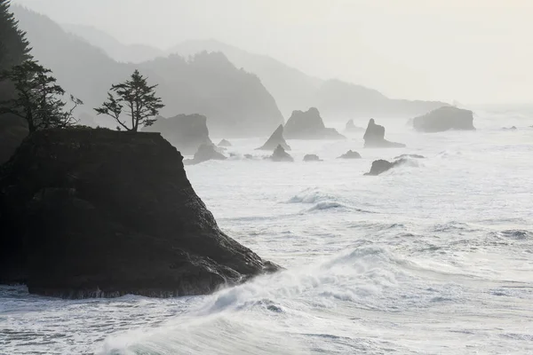 Montones Mar Largo Costa Oregon — Foto de Stock