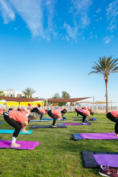 Group Tourists Doing Yoga Outdoors Hotel — Stock Photo, Image
