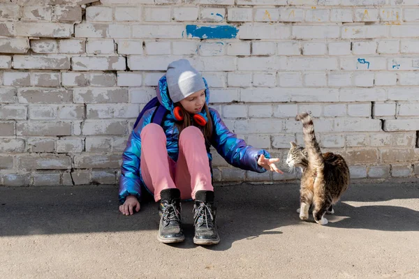 Έφηβη Κοπελίτσα Χαϊδεύει Τον Δρόμο Έννοια Της Αγάπης Για Ζώα — Φωτογραφία Αρχείου