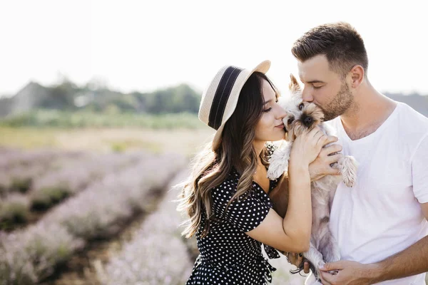 Loving Couple Dog Lavender Field — Zdjęcie stockowe