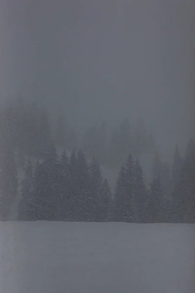 アルプスの静かな雪景色 — ストック写真