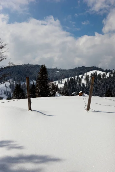Φράχτη Και Πύλη Χιονισμένους Βοσκότοπους Στις Άλπεις — Φωτογραφία Αρχείου