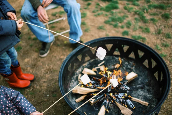 Vader Zijn Kinderen Rond Het Kampvuur Marshmellows Roosteren Voor Mores — Stockfoto