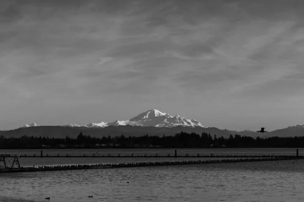 Ampia Vista Del Monte Baker Sul Porto Drayton Blaine Washington — Foto Stock