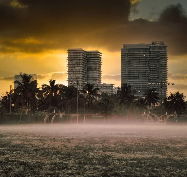 Midtonw Miami Florida Сша Восход Солнца Пальмы Красивое Небо — стоковое фото