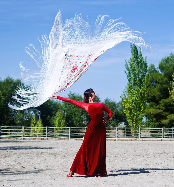Flamenco Tänzerin Mit Manton Manila — Stockfoto