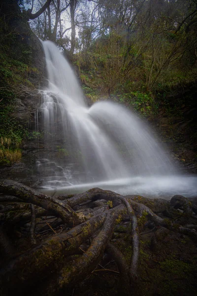 Cascada Primavera Verde Agua Blanca — Stockfoto