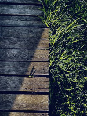 Ahşap iskele ve yeşil çimen