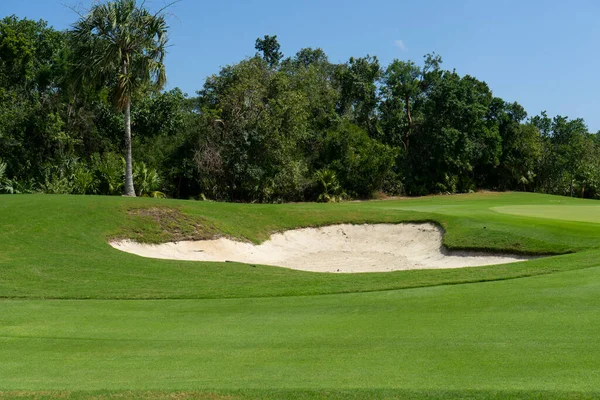 Detail Golf Course Sandtraps Bunkers Mexico Background Vegetation Trees Tropical — Stock Photo, Image