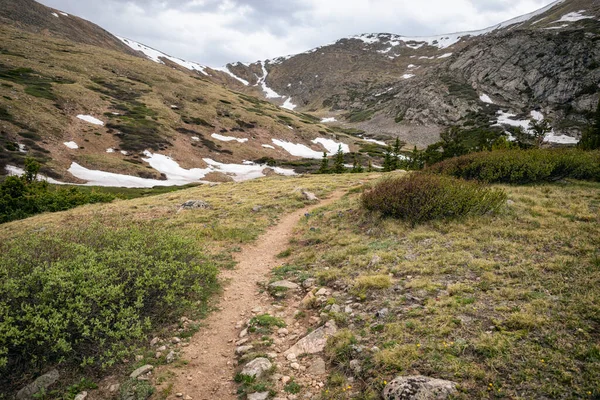 Trilha Para Caminhadas Monte Evans Wilderness Colorado — Fotografia de Stock