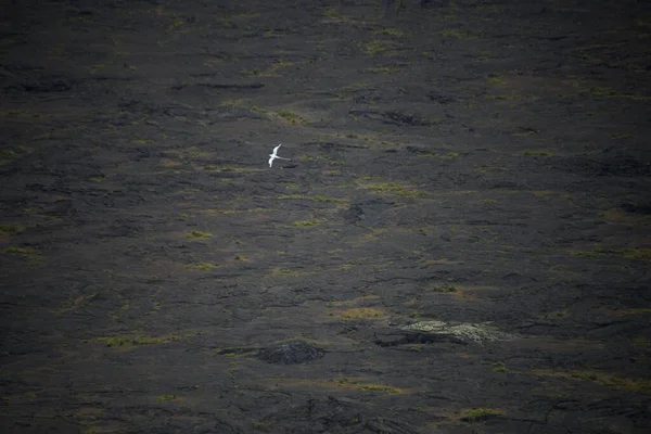 高空鸟瞰基劳厄火山的景象 — 图库照片