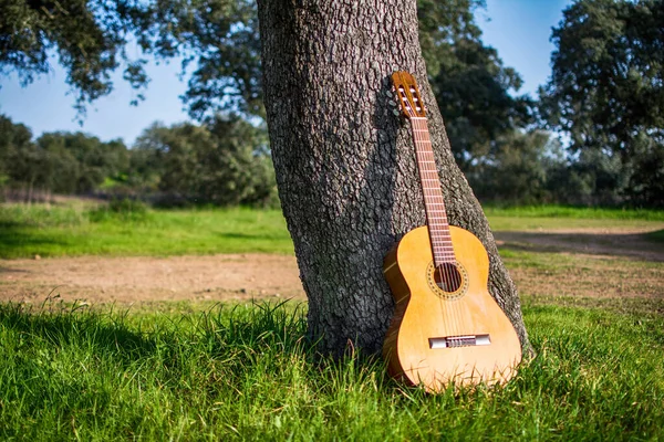 Classical Spanish Guitar Outside. Music And Nature