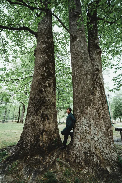 Hombre Medio Los Árboles Viendo Estos Gigantes Altos Increíbles — Foto de Stock