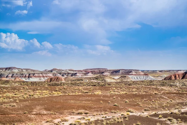 ペトリファイドフォレスト国立公園の絵の砂漠のバッドランズからの景色 — ストック写真