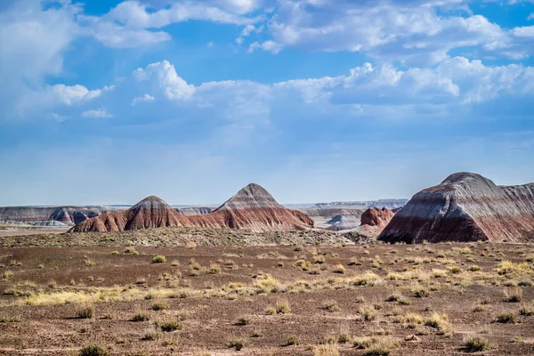 石化林国家公园粉刷后的荒漠荒地景观 — 图库照片