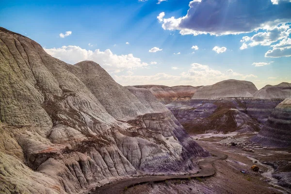 Naturskön Utsikt Från Den Målade Öknen Badlands Förstenade Skogen Nationalpark — Stockfoto