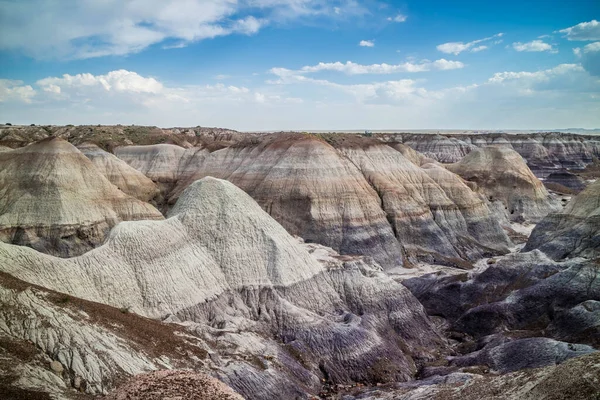 Scenic View Painted Desert Badlands Petrified Forest National Park — Stock Photo, Image