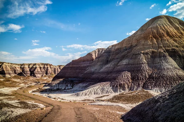 Vista Panorámica Desde Parque Nacional Pintado Desierto Badlands Petrified Forest — Foto de Stock