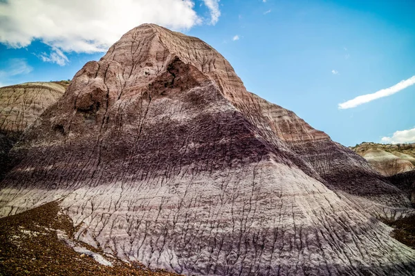 Naturskön Utsikt Från Den Målade Öknen Badlands Förstenade Skogen Nationalpark — Stockfoto