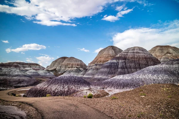 Naturskön Utsikt Från Den Målade Öknen Badlands Förstenade Skogen Nationalpark — Stockfoto