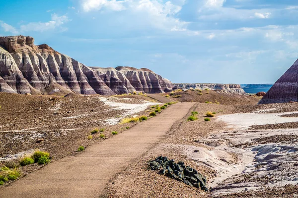 Gångväg Genom Den Förstenade Öknen Petrified Forest National Park — Stockfoto