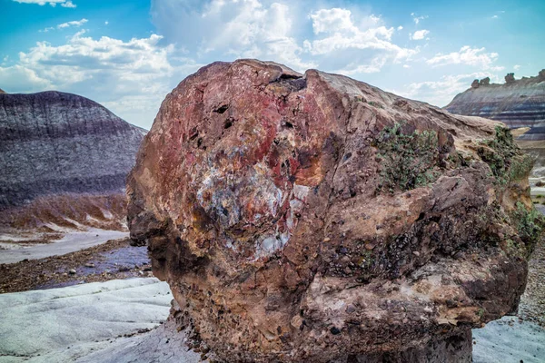 Rocas Petrificadas Finales Del Triásico Parque Petrificado Bosque Nationa — Foto de Stock