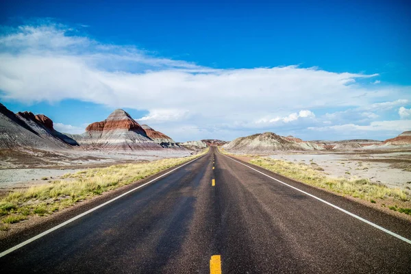 Road Trip Vers Parc National Désert Pétrifié Arizona — Photo