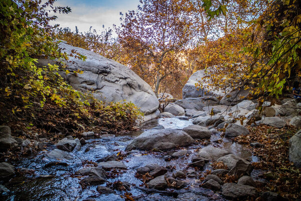 A scenic view of the landscape in Tahquitz Canyon Hike Trail