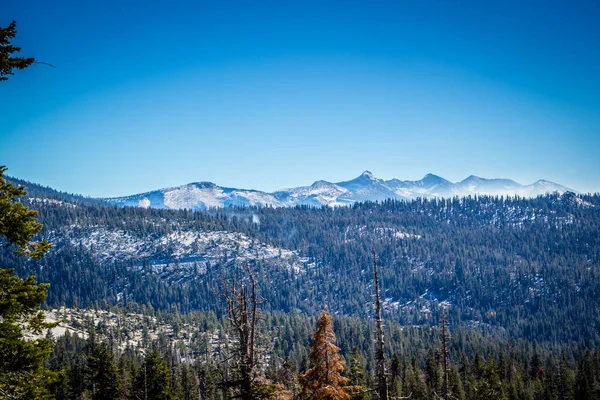 Malowniczy Widok Przyrodę Tuolumne Grove Trailhead Parku Narodowym Yosemite — Zdjęcie stockowe