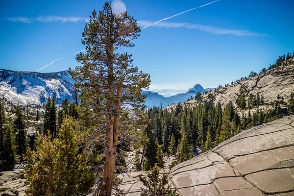 Widok Krajobraz Tuolumne Grove Trailhead Parku Narodowym Yosemite — Zdjęcie stockowe