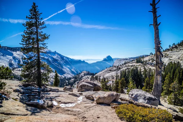 Scénický Pohled Krajinu Tuolumne Grove Trailhead Yosemitském Národním Parku — Stock fotografie