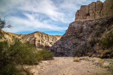 Palm Spring 'deki Boyalı Kanyon Merdiven Yürüyüşü Yolu manzarası