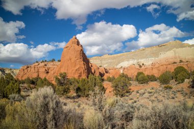 Kodachrome Havzası Eyalet Parkı 'ndaki kaya oluşumunun muhteşem bir görüntüsü