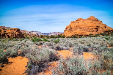 Kar Kanyonu Eyalet Parkı 'ndaki kaya oluşumunun muhteşem bir görüntüsü