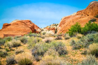 Taşlaşmış kum tepecikleri, Kar Kanyonu Eyalet Parkı 'ndaki volkanik hareketliliğe bağlı kaya oluşumu.
