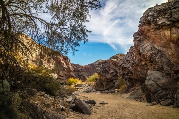 Una Vista Panoramica Del Painted Canyon Ladder Hike Trail Palm — Foto Stock
