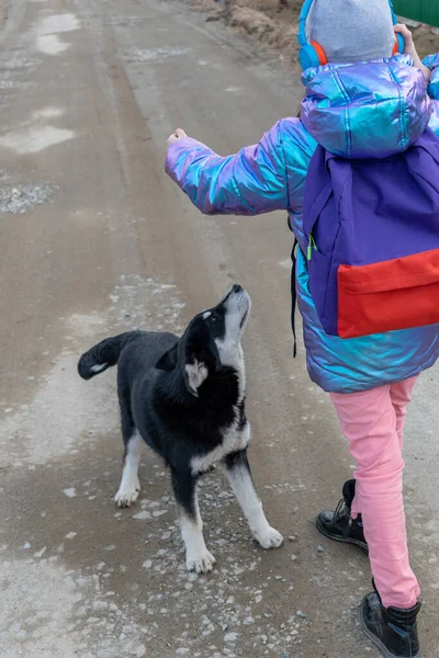 Meisje Loopt Langs Dorpsweg Speelt Met Hond Wellness Spelen Met — Stockfoto