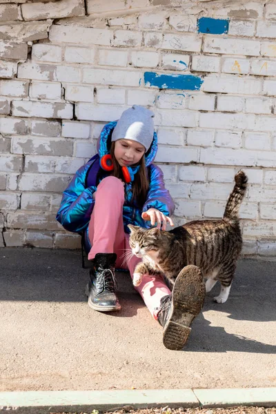 Έφηβη Κοπελίτσα Χαϊδεύει Τον Δρόμο Έννοια Της Αγάπης Για Ζώα — Φωτογραφία Αρχείου