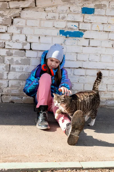 Adolescente Menina Acaricia Gato Rua Conceito Amor Aos Animais Proteção — Fotografia de Stock