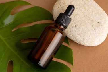 Kozmetik yağlı kahverengi cam şişe düşürücü. Terracotta arka planında canavar bitkisi ve taş var. Yakın plan.