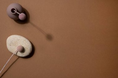 Açık kahverengi arka planda vazoda kurumuş çiçek ve taş. Telif alanı üst görünümlü modaya uygun, asgari konsept