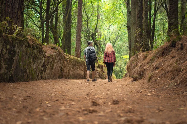 Paar Wandelingen Door Het Bos Rug Aan Rug Outdoor Excursie — Stockfoto